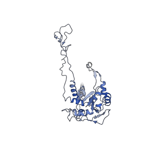 3045_3jan_C_v1-1
Structure of the scanning state of the mammalian SRP-ribosome complex