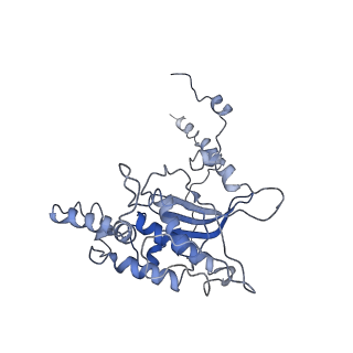3045_3jan_D_v1-1
Structure of the scanning state of the mammalian SRP-ribosome complex