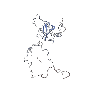 3045_3jan_E_v1-1
Structure of the scanning state of the mammalian SRP-ribosome complex