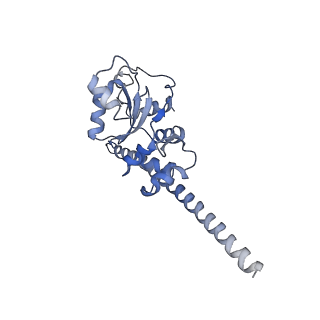 3045_3jan_F_v1-1
Structure of the scanning state of the mammalian SRP-ribosome complex