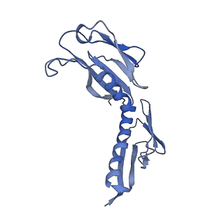 3045_3jan_H_v1-1
Structure of the scanning state of the mammalian SRP-ribosome complex