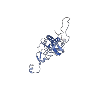 3045_3jan_I_v1-1
Structure of the scanning state of the mammalian SRP-ribosome complex