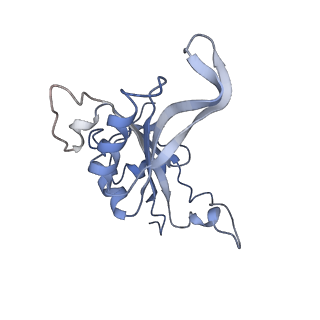 3045_3jan_J_v1-1
Structure of the scanning state of the mammalian SRP-ribosome complex