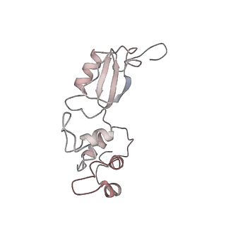 3045_3jan_K_v1-1
Structure of the scanning state of the mammalian SRP-ribosome complex