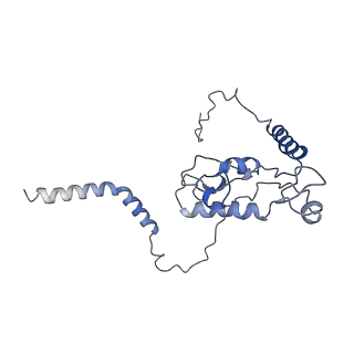 3045_3jan_L_v1-1
Structure of the scanning state of the mammalian SRP-ribosome complex