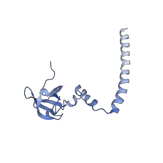 3045_3jan_M_v1-1
Structure of the scanning state of the mammalian SRP-ribosome complex