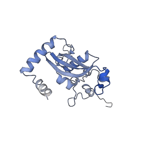 3045_3jan_N_v1-1
Structure of the scanning state of the mammalian SRP-ribosome complex