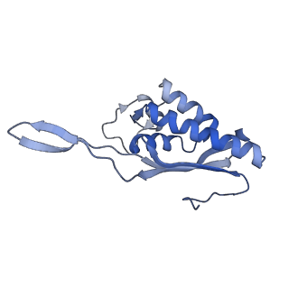 3045_3jan_P_v1-1
Structure of the scanning state of the mammalian SRP-ribosome complex