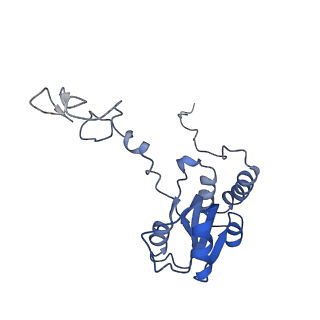 3045_3jan_Q_v1-1
Structure of the scanning state of the mammalian SRP-ribosome complex