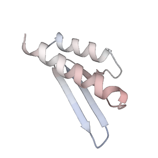3045_3jan_S1_v1-1
Structure of the scanning state of the mammalian SRP-ribosome complex
