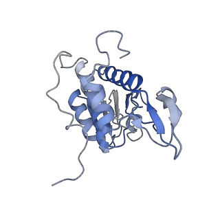 3045_3jan_SA_v1-1
Structure of the scanning state of the mammalian SRP-ribosome complex