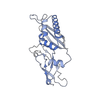 3045_3jan_SB_v1-1
Structure of the scanning state of the mammalian SRP-ribosome complex