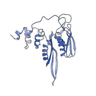 3045_3jan_SC_v1-1
Structure of the scanning state of the mammalian SRP-ribosome complex
