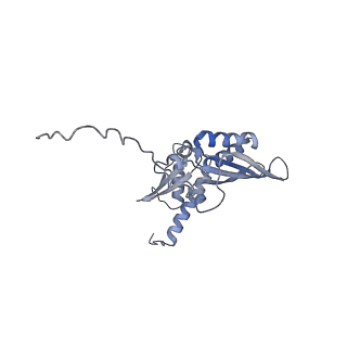 3045_3jan_SD_v1-1
Structure of the scanning state of the mammalian SRP-ribosome complex