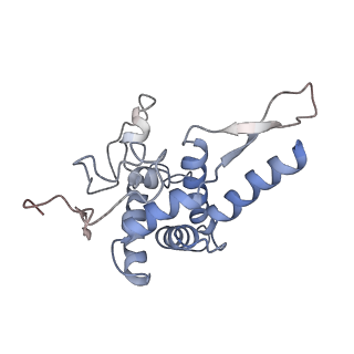3045_3jan_SF_v1-1
Structure of the scanning state of the mammalian SRP-ribosome complex
