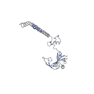 3045_3jan_SG_v1-1
Structure of the scanning state of the mammalian SRP-ribosome complex