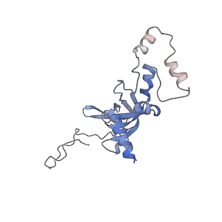 3045_3jan_SI_v1-1
Structure of the scanning state of the mammalian SRP-ribosome complex