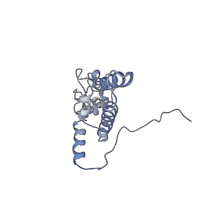 3045_3jan_SJ_v1-1
Structure of the scanning state of the mammalian SRP-ribosome complex