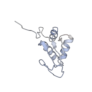3045_3jan_SK_v1-1
Structure of the scanning state of the mammalian SRP-ribosome complex