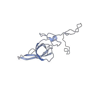 3045_3jan_SL_v1-1
Structure of the scanning state of the mammalian SRP-ribosome complex