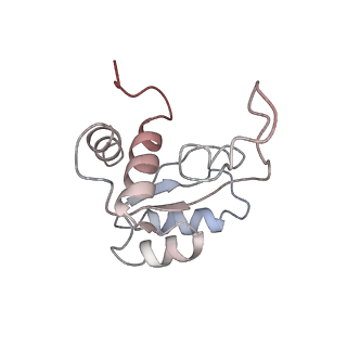 3045_3jan_SM_v1-1
Structure of the scanning state of the mammalian SRP-ribosome complex