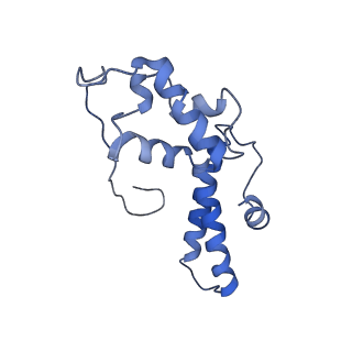 3045_3jan_SN_v1-1
Structure of the scanning state of the mammalian SRP-ribosome complex