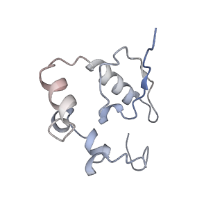 3045_3jan_SP_v1-1
Structure of the scanning state of the mammalian SRP-ribosome complex