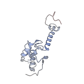 3045_3jan_SS_v1-1
Structure of the scanning state of the mammalian SRP-ribosome complex