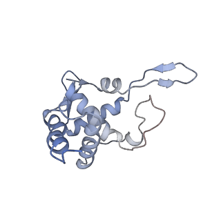 3045_3jan_ST_v1-1
Structure of the scanning state of the mammalian SRP-ribosome complex