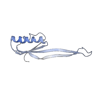 3045_3jan_SU_v1-1
Structure of the scanning state of the mammalian SRP-ribosome complex
