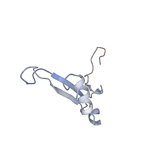 3045_3jan_SV_v1-1
Structure of the scanning state of the mammalian SRP-ribosome complex