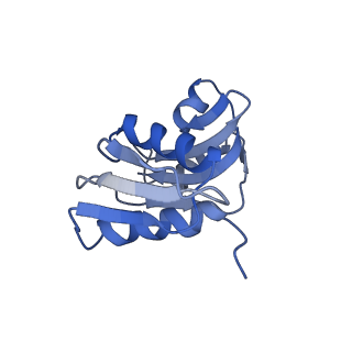 3045_3jan_SW_v1-1
Structure of the scanning state of the mammalian SRP-ribosome complex