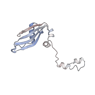 3045_3jan_SY_v1-1
Structure of the scanning state of the mammalian SRP-ribosome complex
