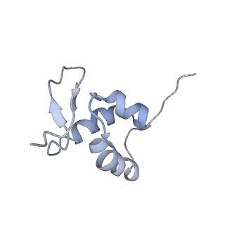 3045_3jan_SZ_v1-1
Structure of the scanning state of the mammalian SRP-ribosome complex