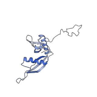 3045_3jan_S_v1-1
Structure of the scanning state of the mammalian SRP-ribosome complex