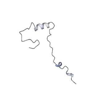 3045_3jan_Se_v1-1
Structure of the scanning state of the mammalian SRP-ribosome complex