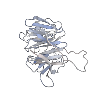 3045_3jan_Sg_v1-1
Structure of the scanning state of the mammalian SRP-ribosome complex