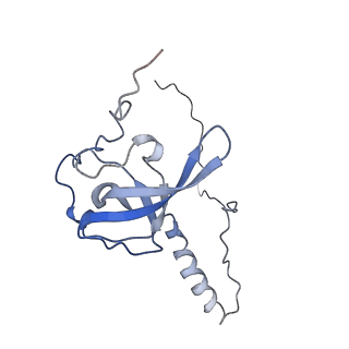 3045_3jan_T_v1-1
Structure of the scanning state of the mammalian SRP-ribosome complex