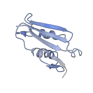 3045_3jan_U_v1-1
Structure of the scanning state of the mammalian SRP-ribosome complex