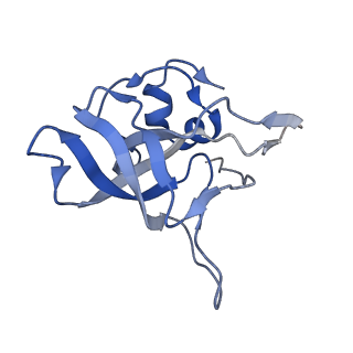 3045_3jan_V_v1-1
Structure of the scanning state of the mammalian SRP-ribosome complex