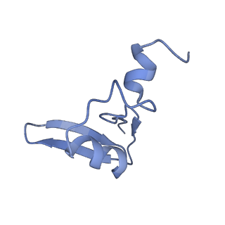 3045_3jan_W_v1-1
Structure of the scanning state of the mammalian SRP-ribosome complex