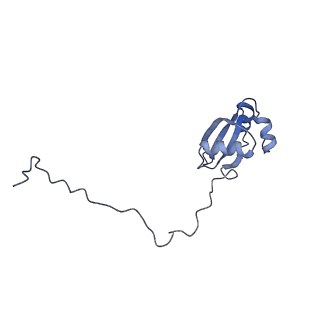 3045_3jan_X_v1-1
Structure of the scanning state of the mammalian SRP-ribosome complex