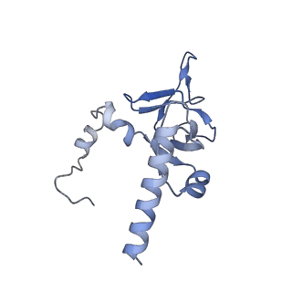 3045_3jan_Y_v1-1
Structure of the scanning state of the mammalian SRP-ribosome complex