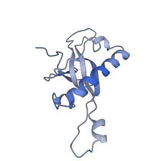 3045_3jan_Z_v1-1
Structure of the scanning state of the mammalian SRP-ribosome complex