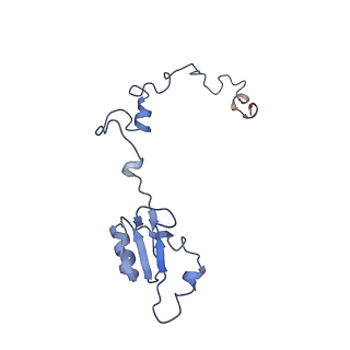 3045_3jan_a_v1-1
Structure of the scanning state of the mammalian SRP-ribosome complex