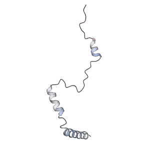 3045_3jan_b_v1-1
Structure of the scanning state of the mammalian SRP-ribosome complex