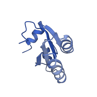 3045_3jan_c_v1-1
Structure of the scanning state of the mammalian SRP-ribosome complex