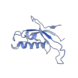 3045_3jan_d_v1-1
Structure of the scanning state of the mammalian SRP-ribosome complex