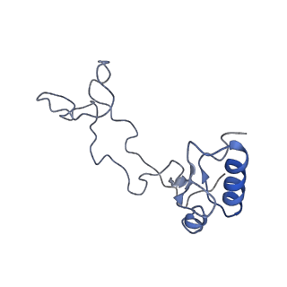 3045_3jan_e_v1-1
Structure of the scanning state of the mammalian SRP-ribosome complex