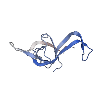 3045_3jan_f_v1-1
Structure of the scanning state of the mammalian SRP-ribosome complex